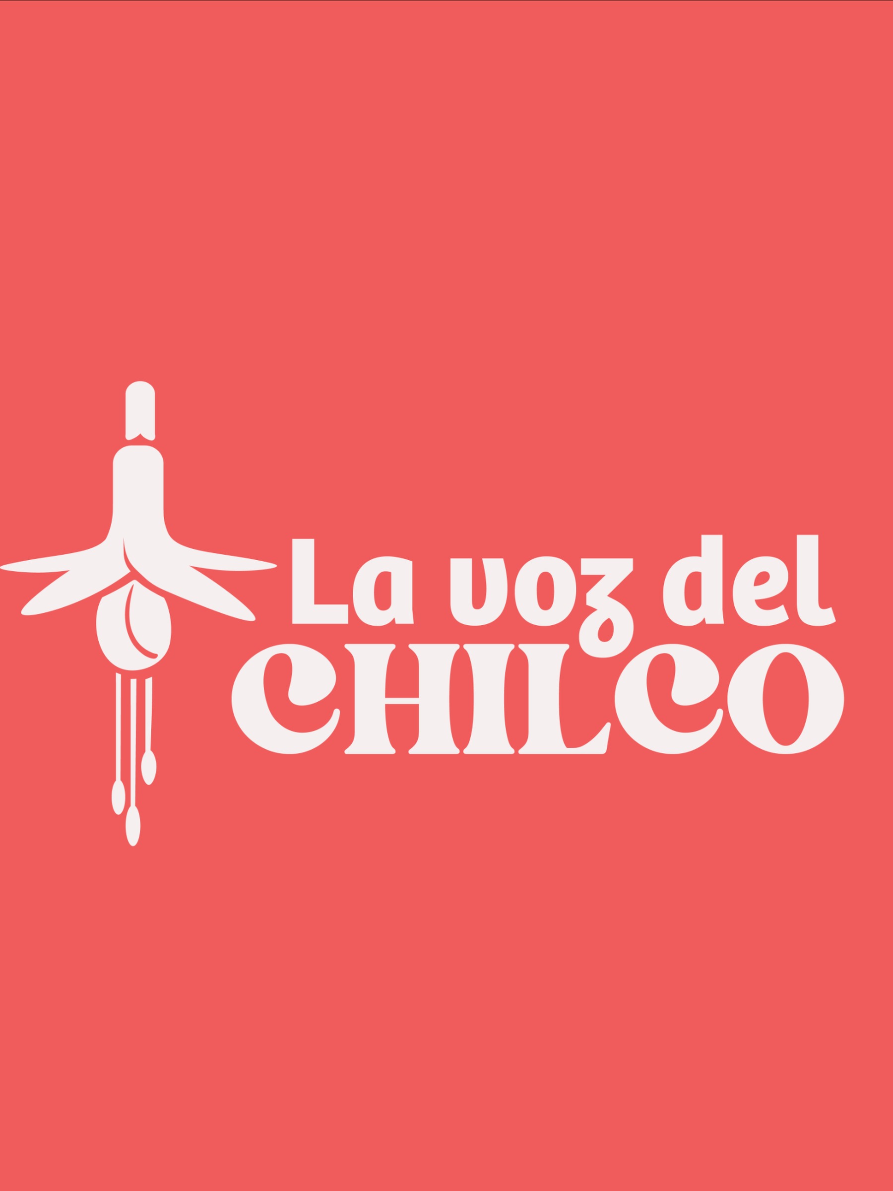 Piloto